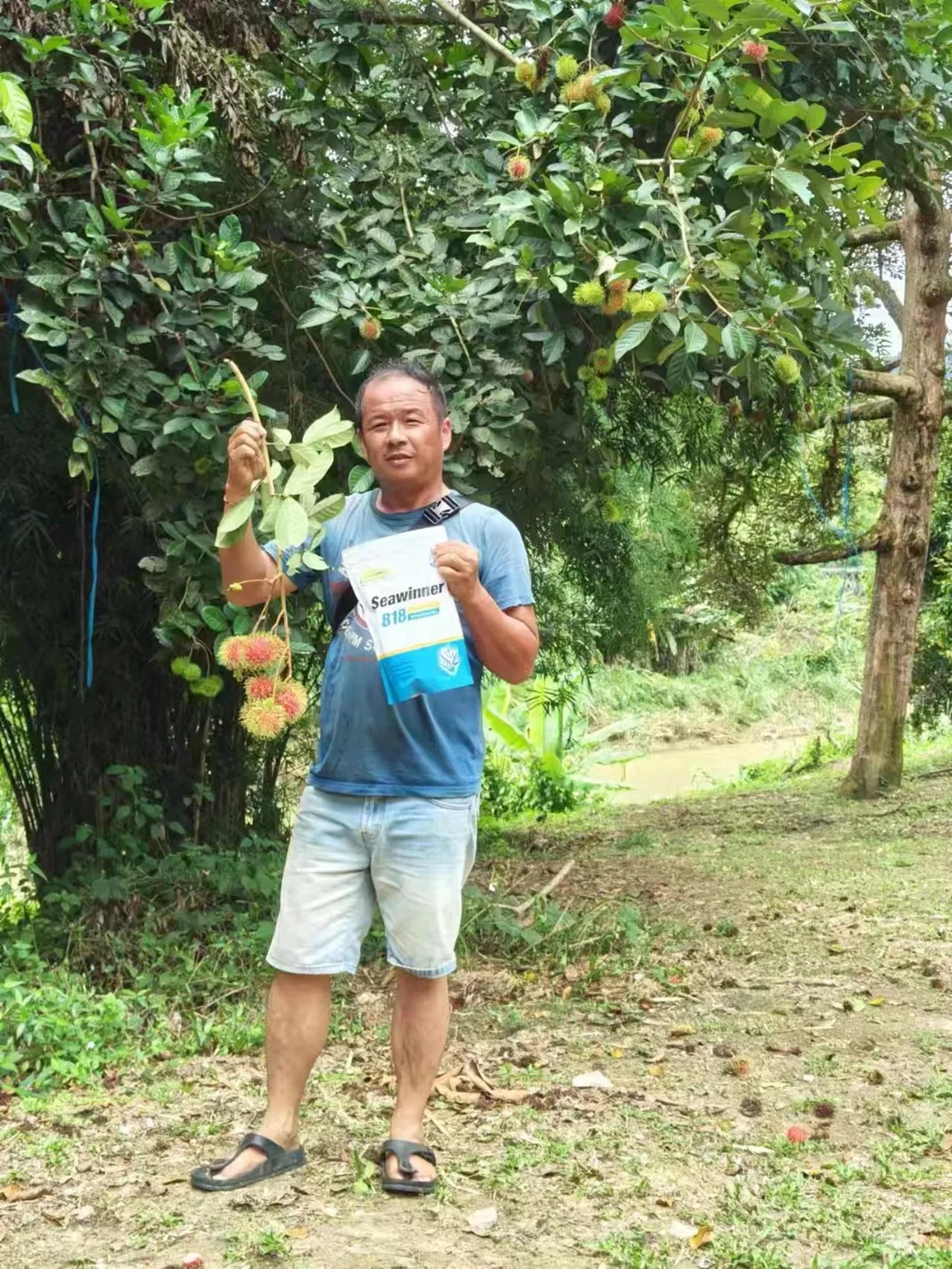 Calcium Magnesium Fertilizer