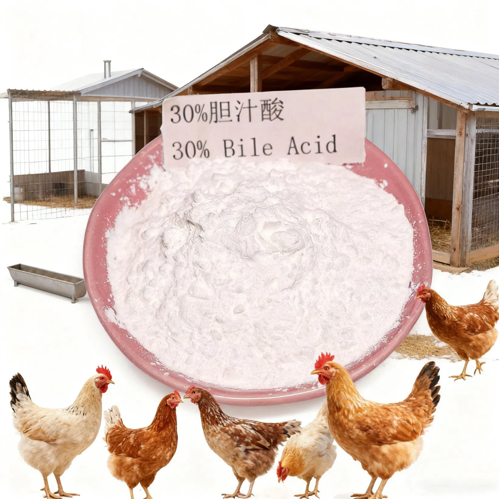 Bile Acid Feed Additive for Aquaculture and Poultry Improve Fat Digestion and Liver Health