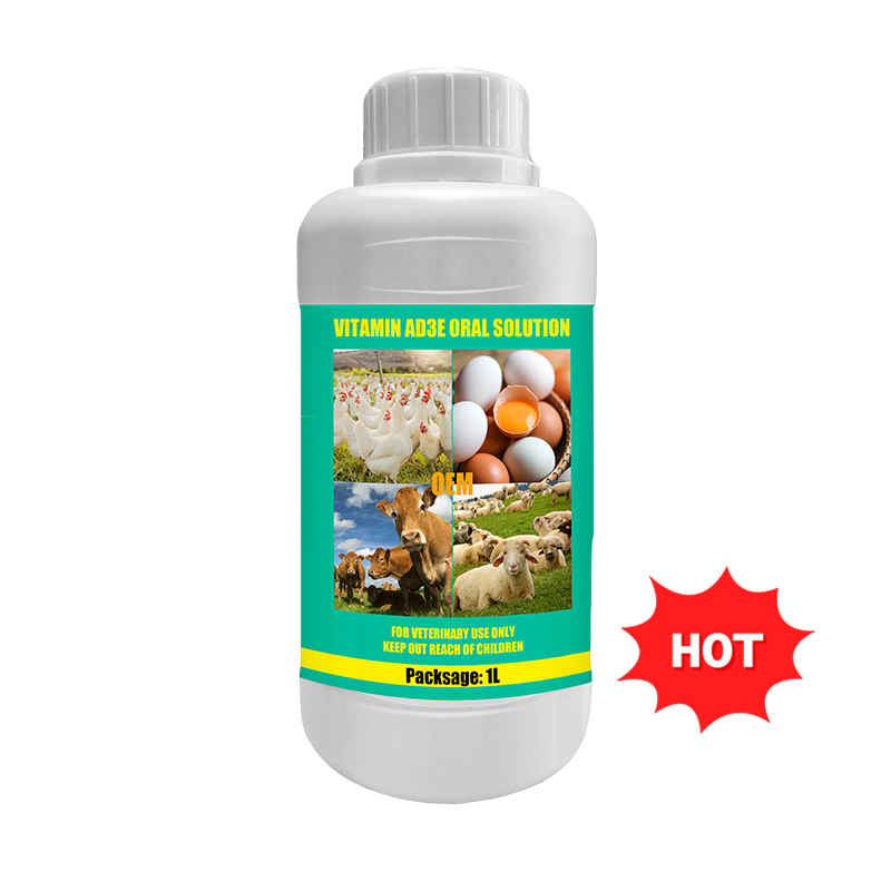 Electrolyte+Vitamin C Oral Solution Poultry Liquid Feed Additive Enhance Immunity