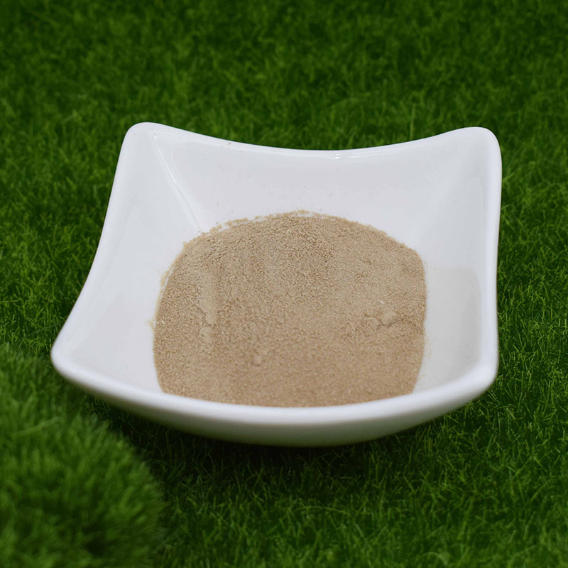 Amino Acid Chelated Micronutrients for Lettuce, Amino Acid Chelated Molybdenum Fertilizer