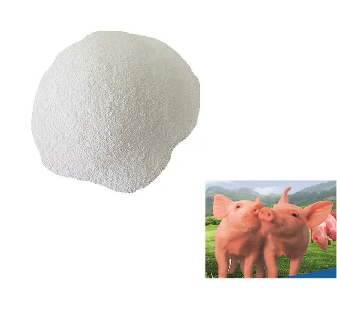 Antibiotic Alternative Growth Tributyrin Glyceryl Tributyrate Powder 48% CAS 60-01-5 for Ruminant Animal Cow