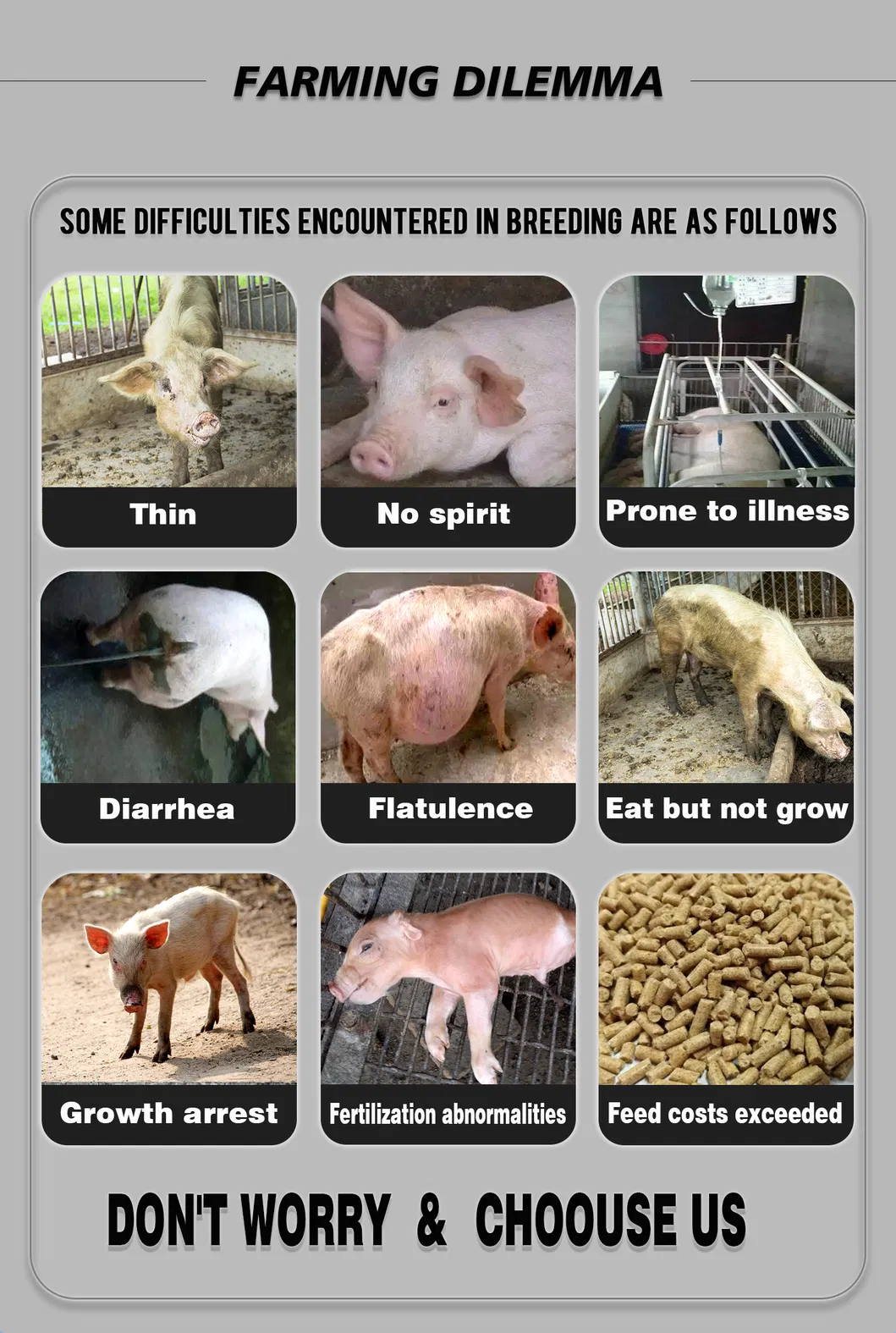 Feed Additives Details