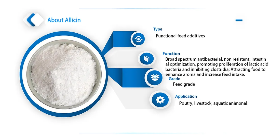 Garlic Extract Allicin Powder