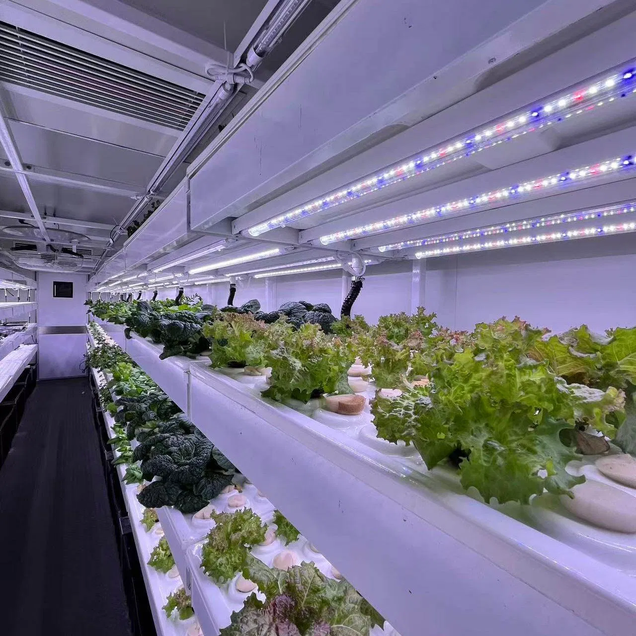 Smart Hydroponic Container Hydroponic System and Hydroponic Farm Smart Hydroponic Growing Solution