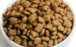 Pet Food Application