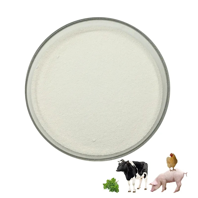 Antibiotic Alternative Growth Tributyrin Glyceryl Tributyrate Powder 48% CAS 60-01-5 for Ruminant Animal Cow