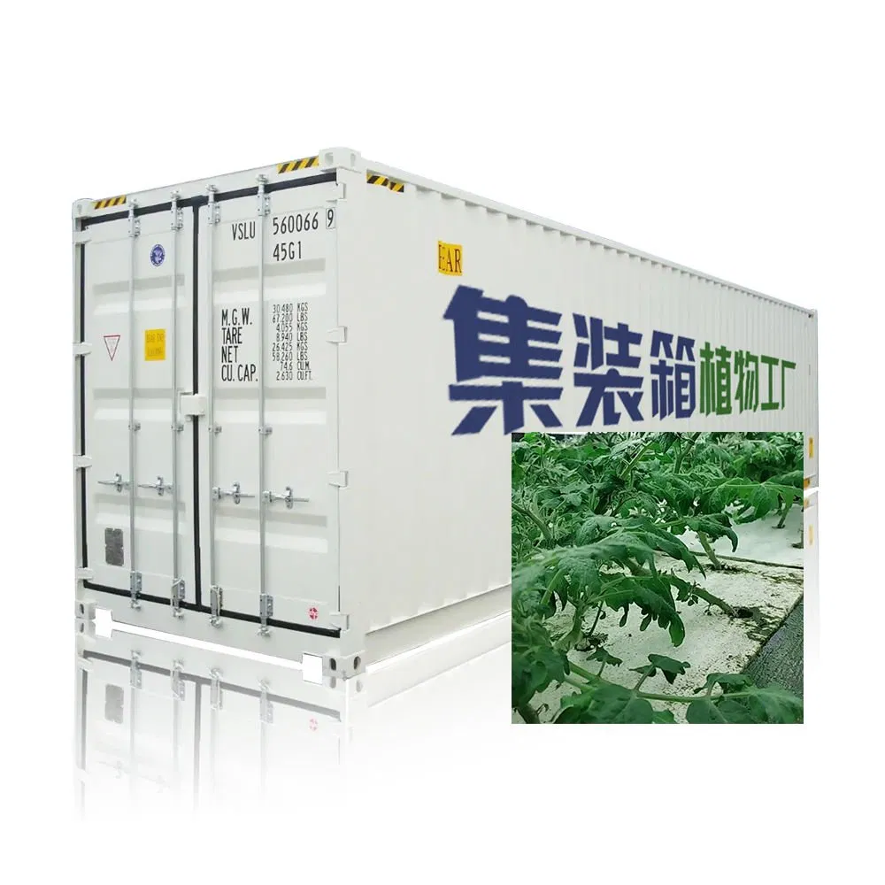 Turnkey Plant Factory Indoor Plant Factory System Turnkey Plant Factory Solution