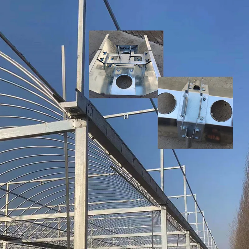 Multi-Span Film Greenhouse