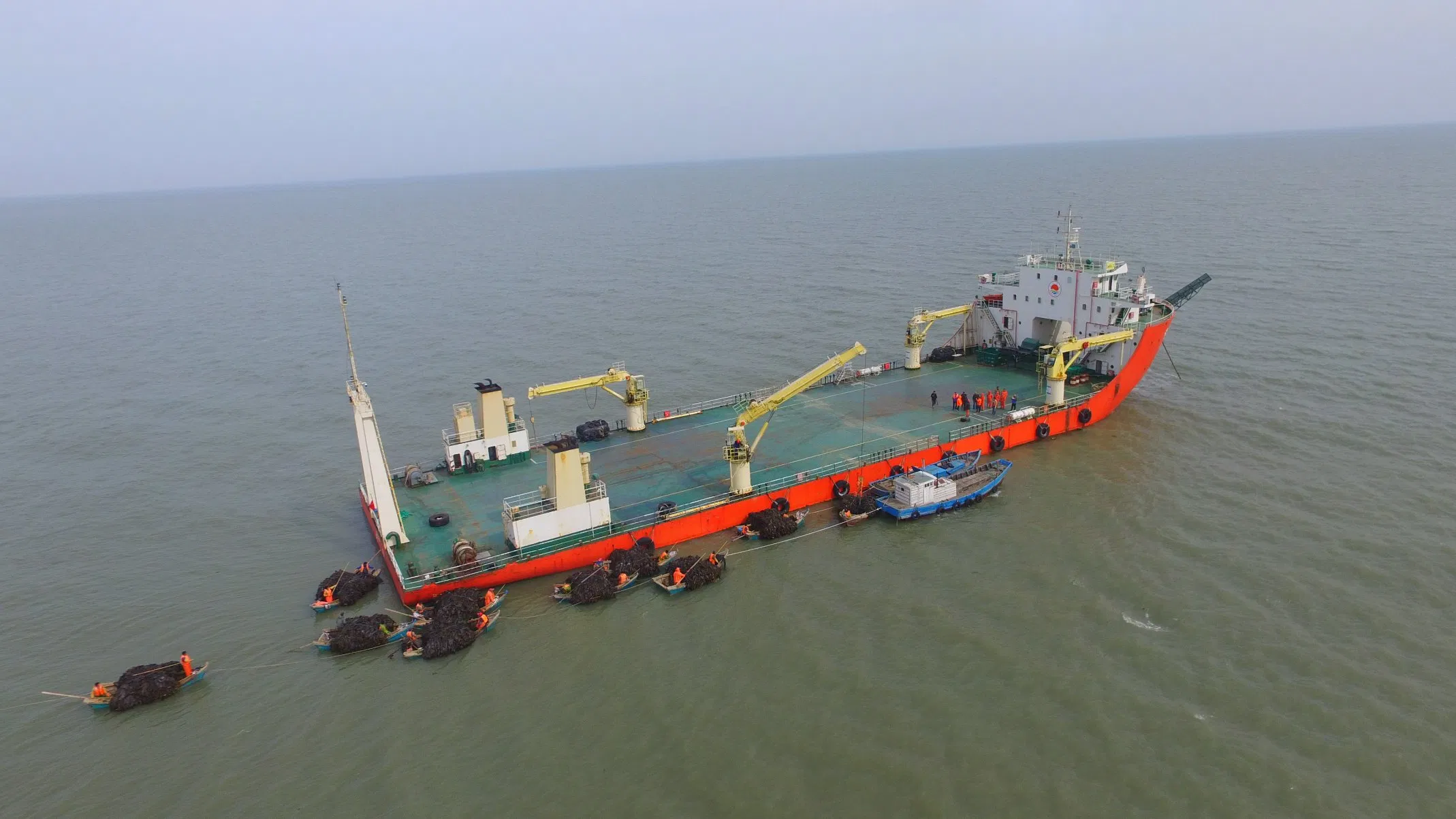 Blan N-4 Slow Release Nitrogen Plus Seaweed