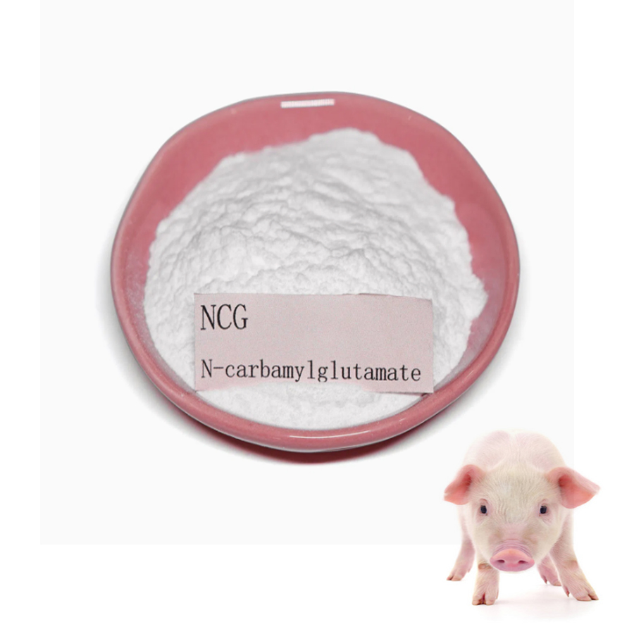 Piglet Growth Promoter Feed Supplement N-Carbamylglutamate (NCG)