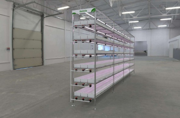 Reinfa Precision Anti-Clogging Drip Irrigation Solution for Vertical Hydroponic Strawberry Farming