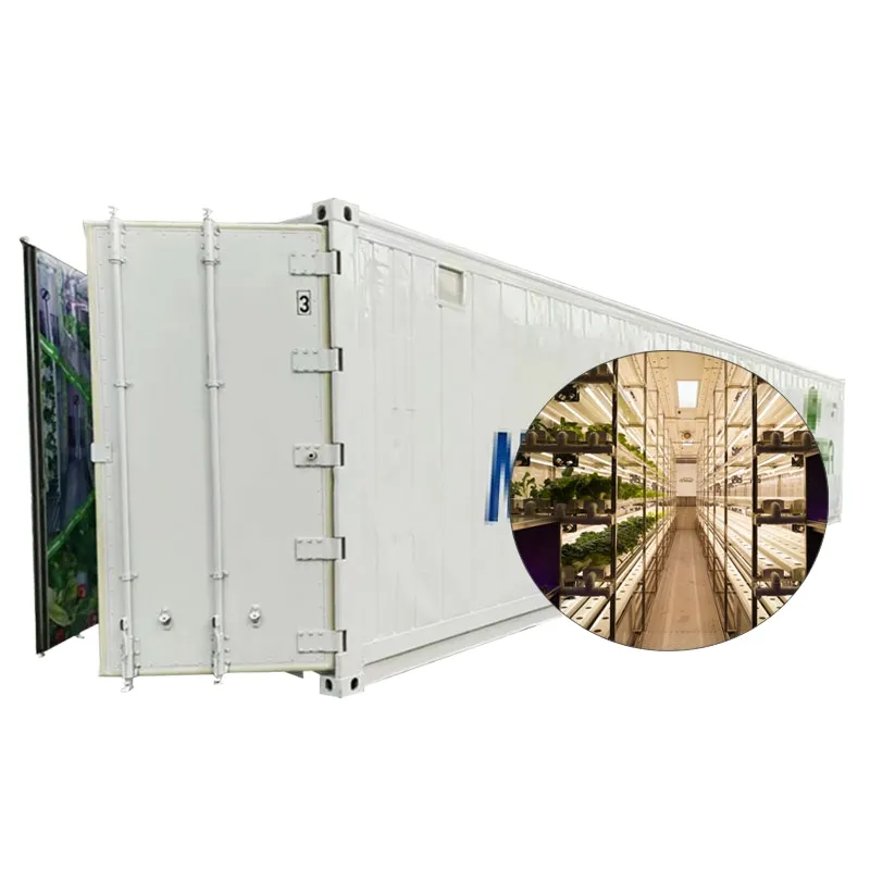 Hydroponic Container Farm Internal View