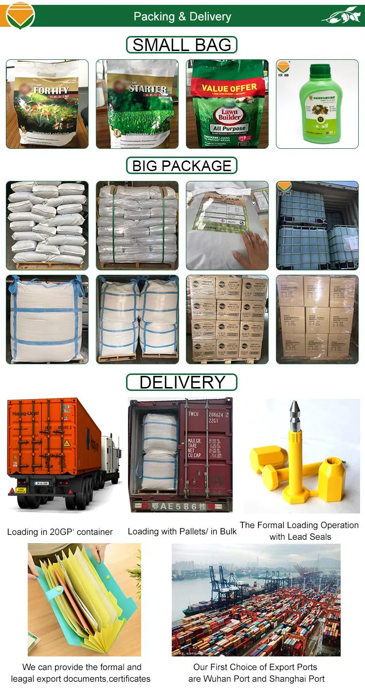 Packaging and Shipping