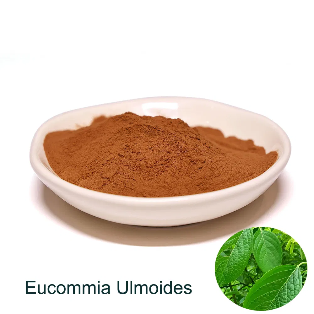 Natural Eucommia Ulmoides Leaf Extract Powder Feed Additive for Poultry, Swine, Aquaculture Growth Promoter, Immune Booster