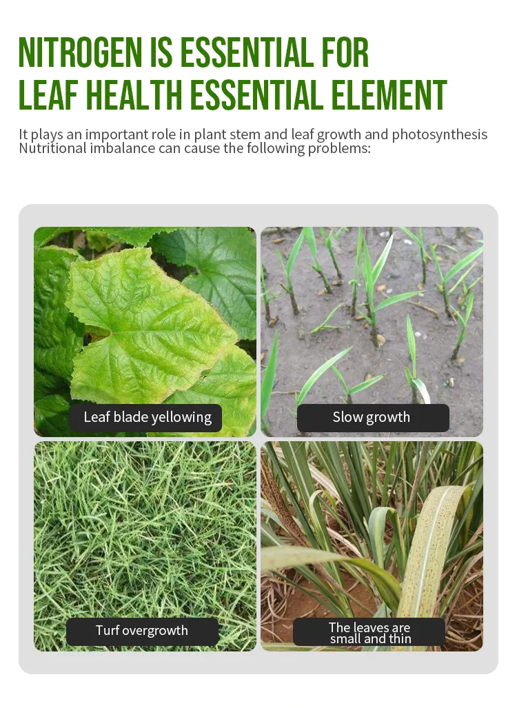 Liquid Fertilizer Application