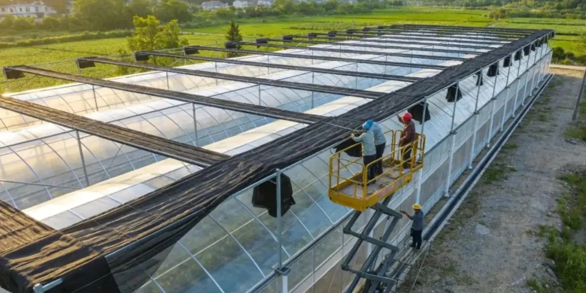 Industrial Hydroponic Greenhouse Solution