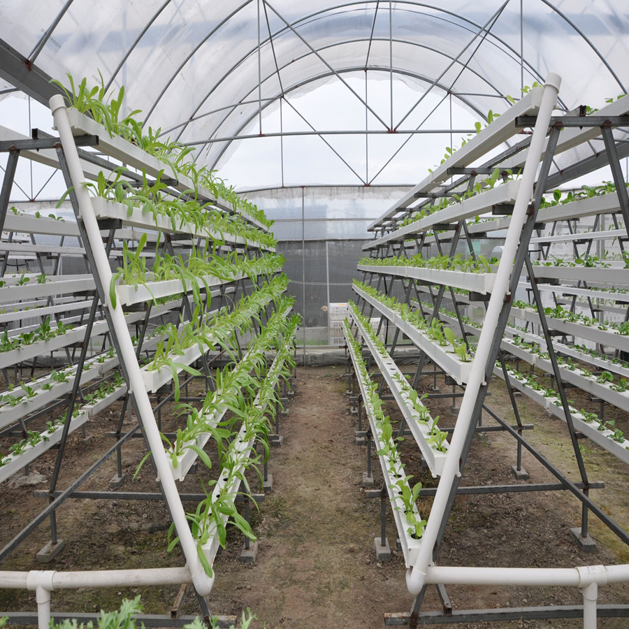 Vertical Farming Solutions Indoor Hydroponic Gardening Nft Setup