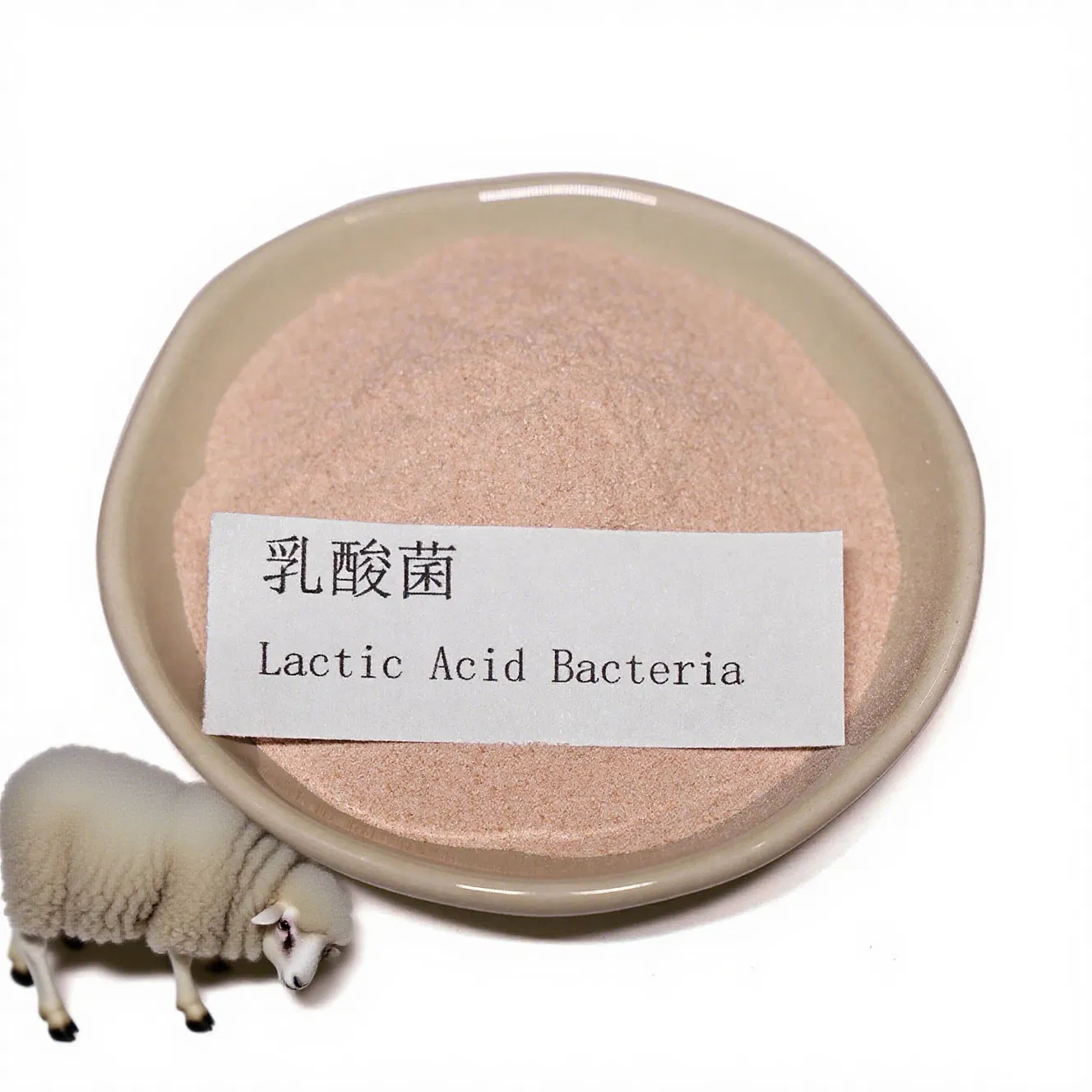 Lactic Acid Bacteria Feed Additive