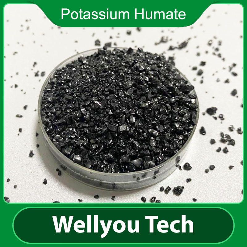 Water Soluble Leonardite Source Potassium Humate Micronutrient Fertilizer Wellyou Tech