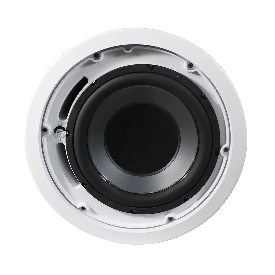 Strong Sound Smart Home Audio 10 Inch 100V 4ohm 240W Ceiling Subwoofer Loudspeaker with High Performance Ceiling Subwoofer Camac Portable Speaker