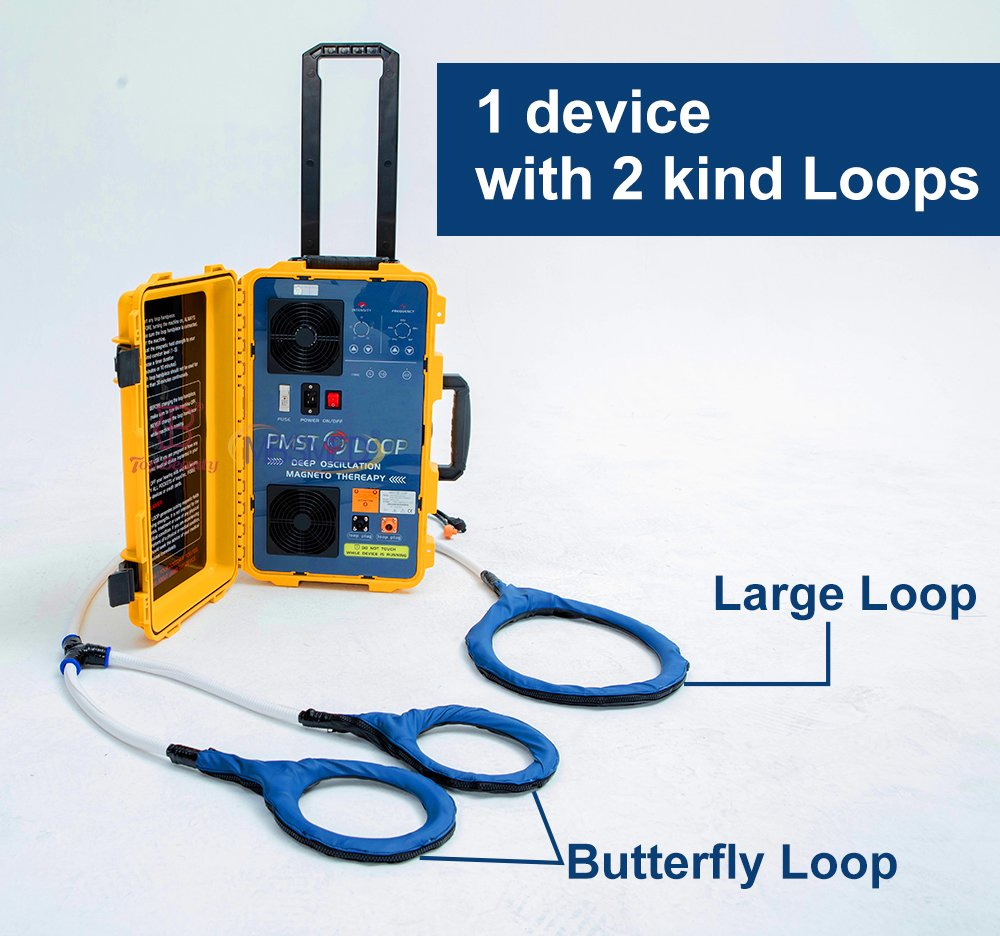 Pmst Double Loop Human Physical Portable Pemf Magnetic Therapy Mat Device