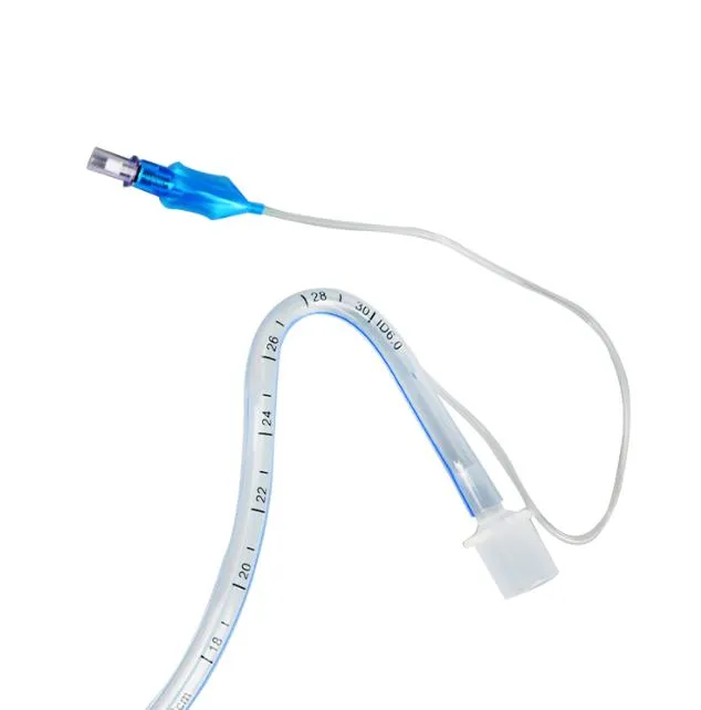 Endotracheal Tube Detail 2