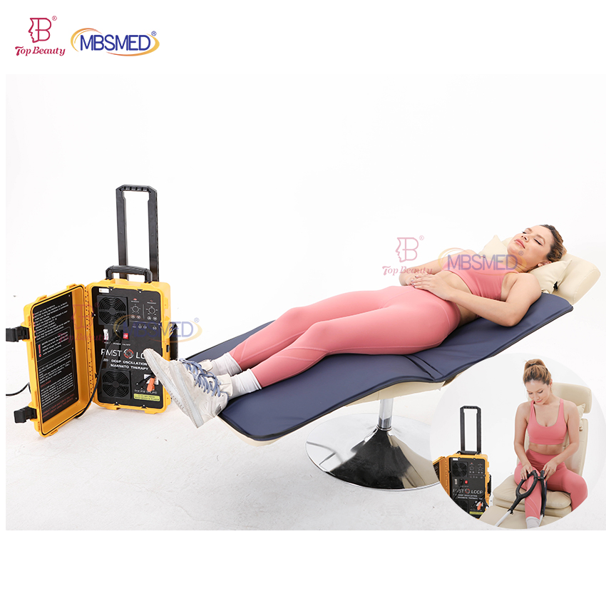 Pmst Double Loop Human Physical Portable Pemf Magnetic Therapy Mat Device