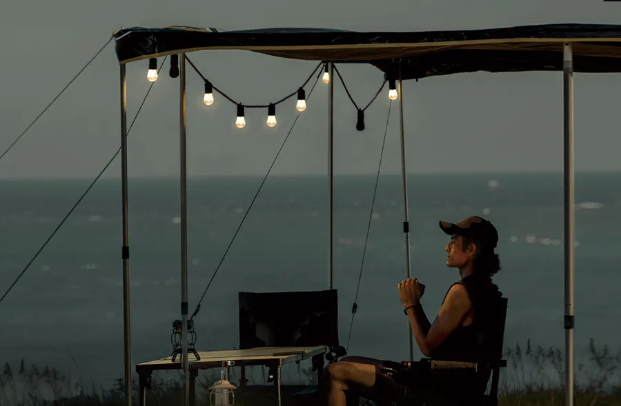 S14 String Lights Scene 2