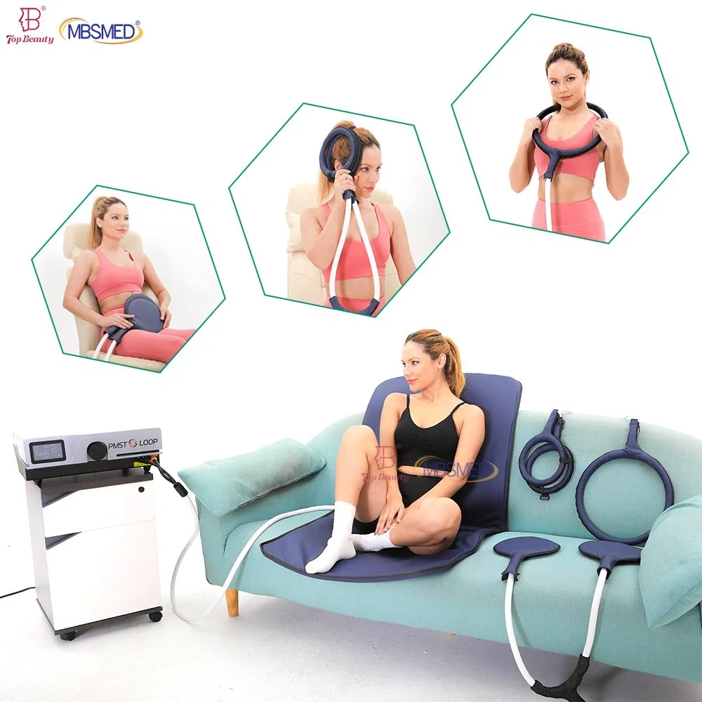 Portable Magnetotherapy Pulsed Electromagnetic Magnetic Therapy Field Therapy Pemf Mat Devices