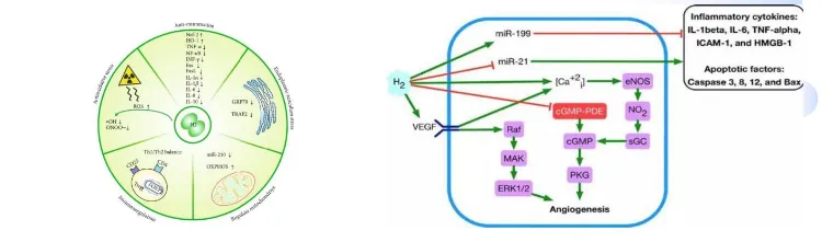 Treatment Principle Diagram