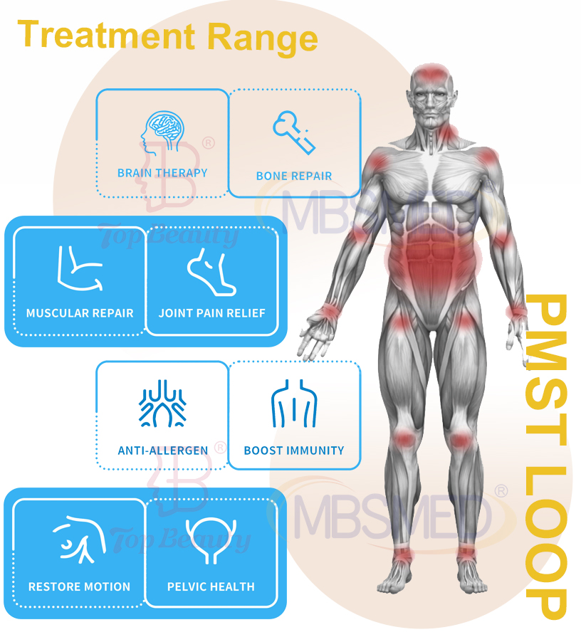 24500 Guass Pemf Magnetic Therapy Back and Shoulder Pain Home Device