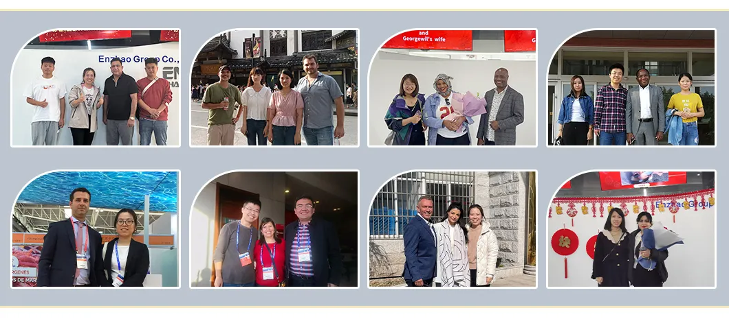 Binário de Plástico Reciclável de Alta Qualidade, Versátil e Resistente para Armazenamento ou Transporte de Pollock Salgado, Linguado e Robalo Chileno