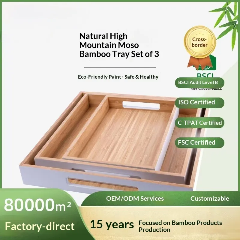 Design ecológico de bandeja de bambu