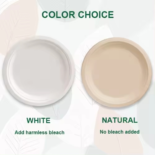 Conjunto de Louça Descartável de Bagasse de Bambu Ecológico por Atacado Fornecedor de Utensílios Biodegradáveis