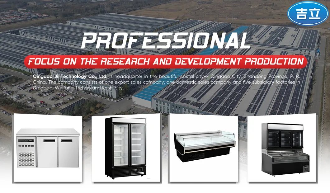 Armário Refrigerador Vertical de Aço Inoxidável para Congelamento Comercial Durável