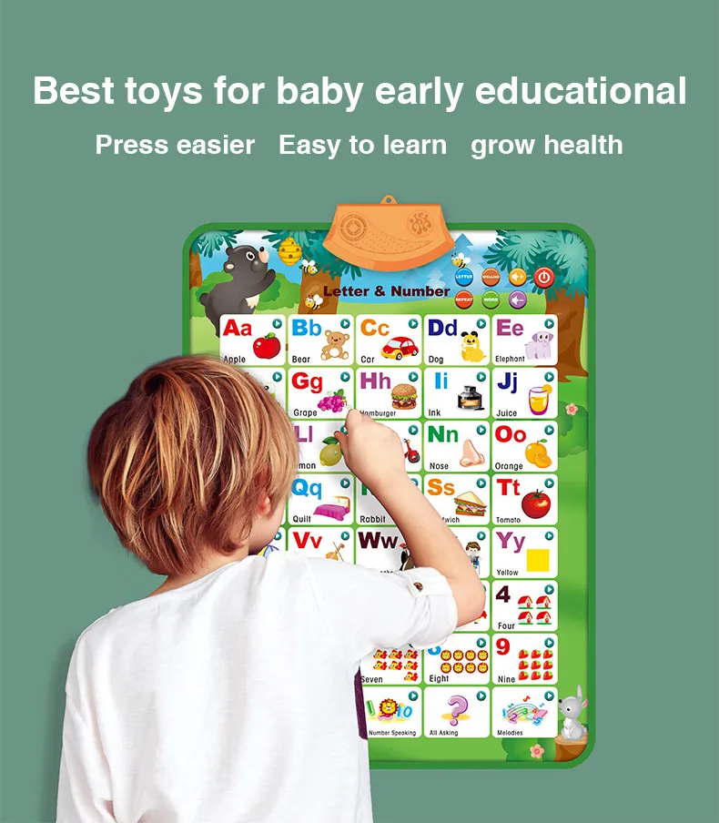 Educational Wall Chart 4