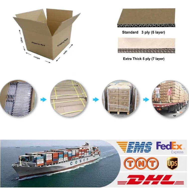 Shipping Logistics