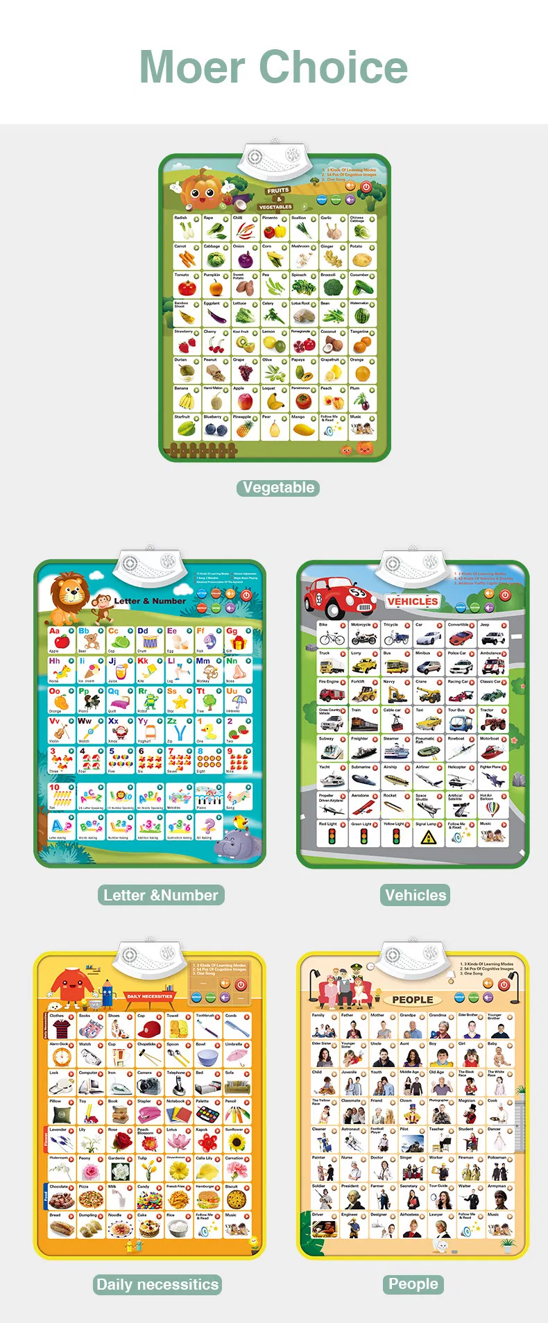 Educational Wall Chart 7