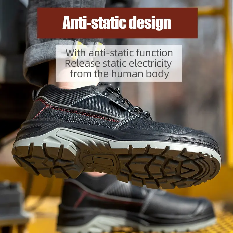 Product View 10