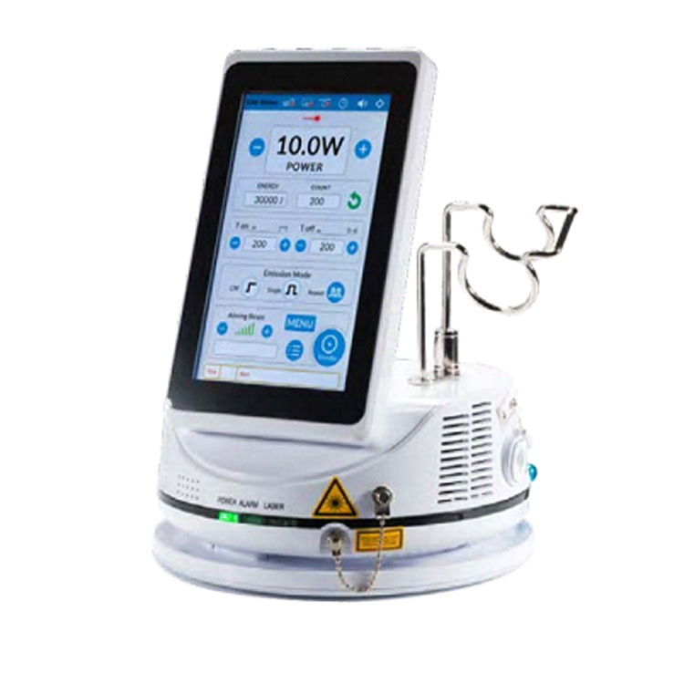 Dl13G Dentistry Treatment Teeth Whitening Instrument Soft Tissue Cutting Dental Diode Laser Device