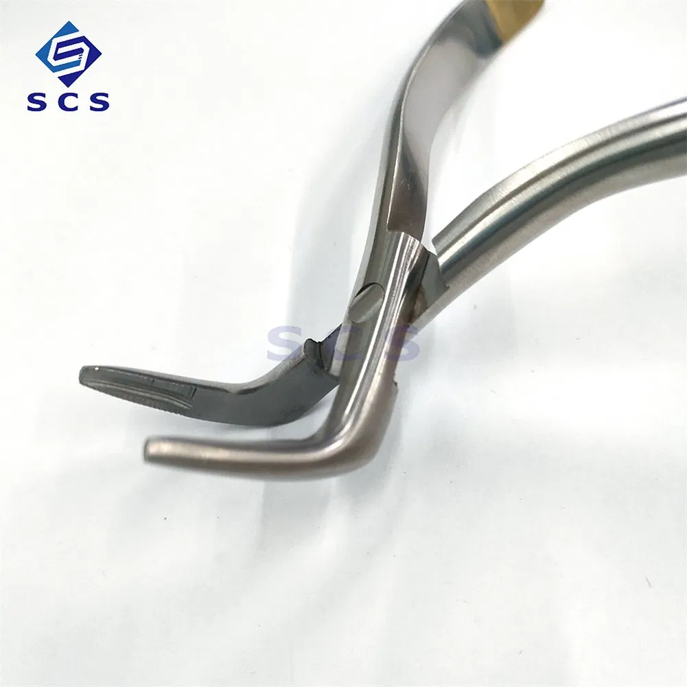 Metal Stainless Steel Material Dental Instrument Residual Root Extraction Forceps