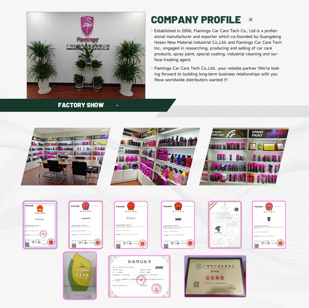 Car Cleaning Details