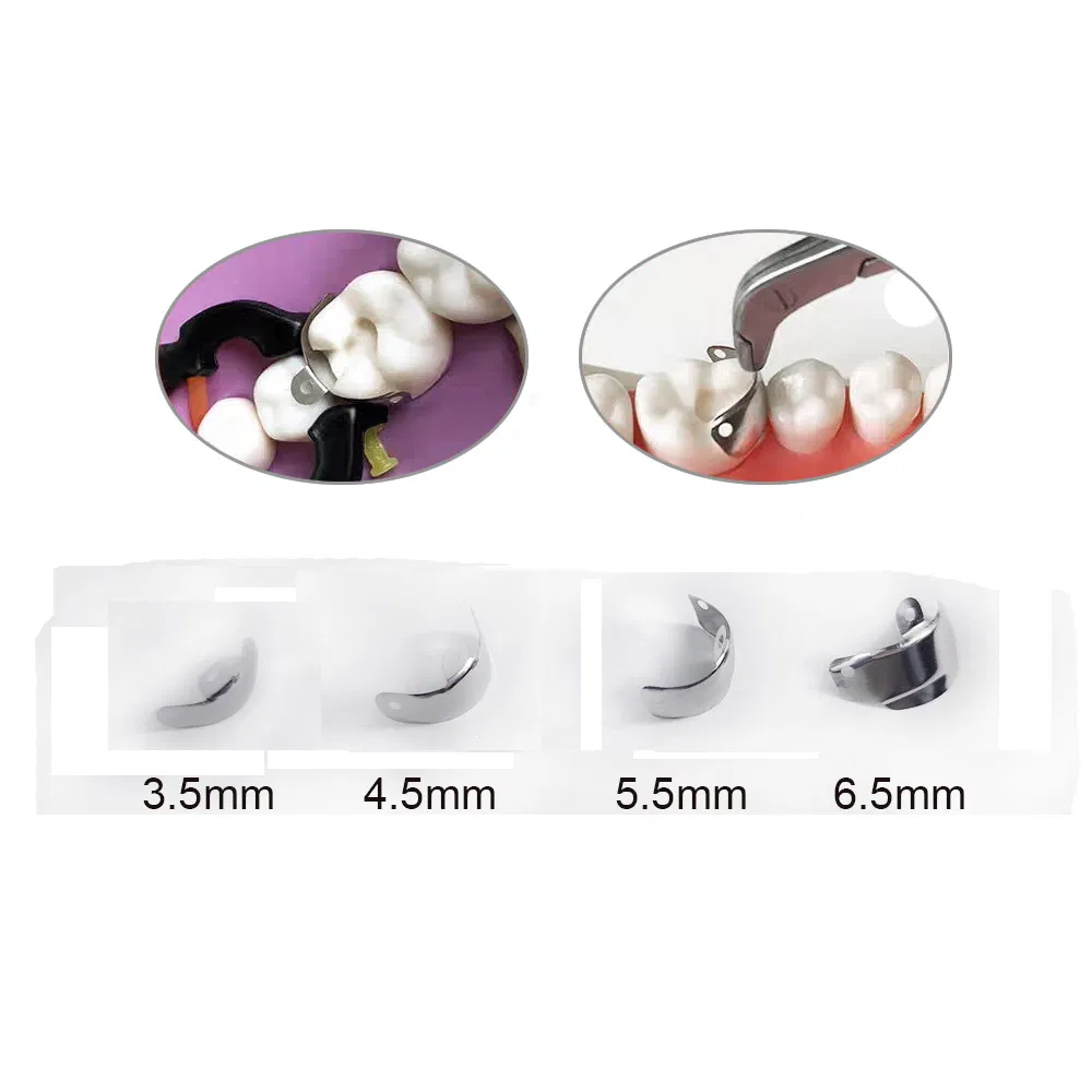 Dental Matrix Band Detail