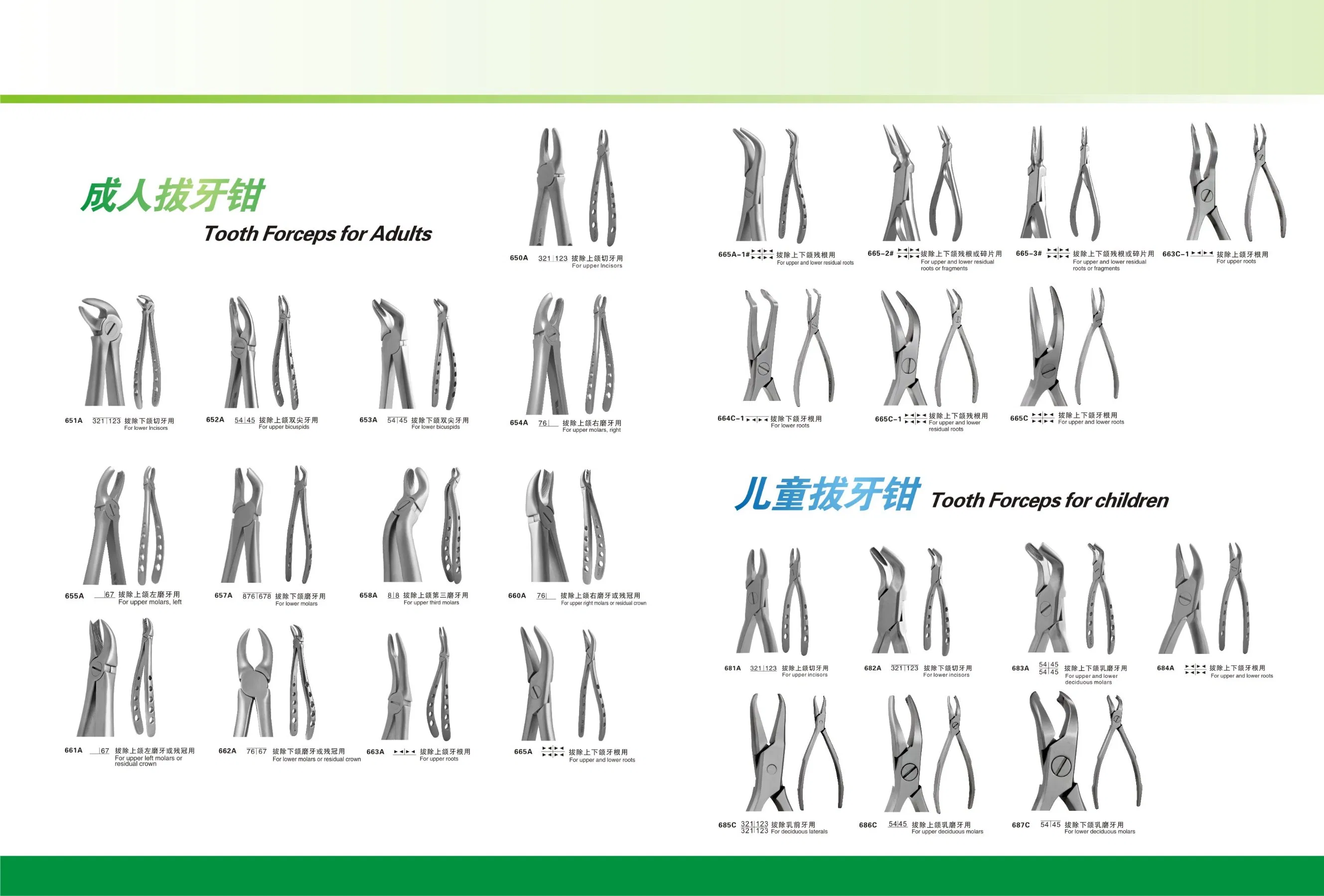Top Sale Dental Tooth Extracting Forceps with CE