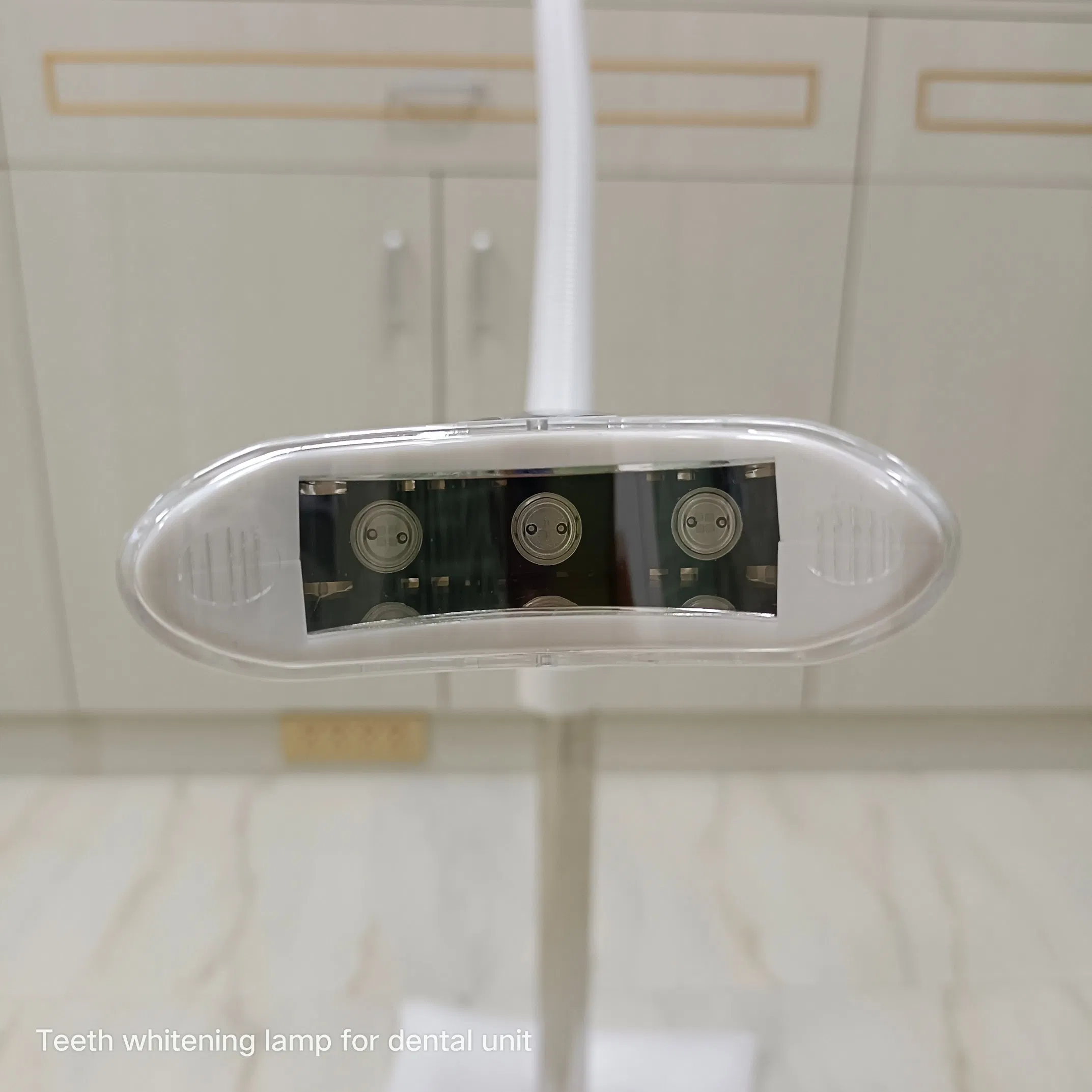 Professional Dental Cool Light LED Teeth Whitening Device Connect to Dental Chair for Dental Clinic
