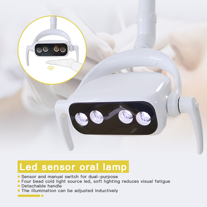 Ew Perfect Dental Equipment Full Functions Electric Dental Chair Unit