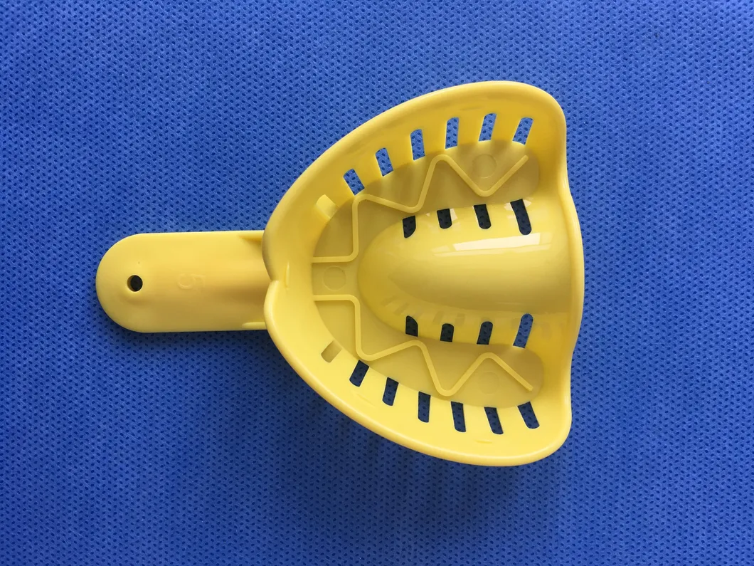 Denture Model Materials