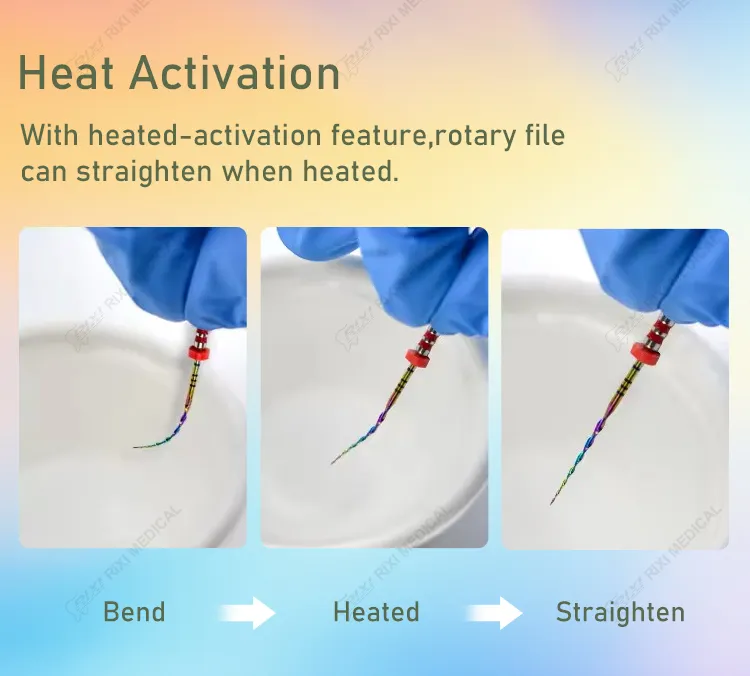 Rotary File Detail 5