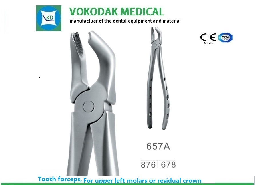 Dental Instrument Material Tooth Extracting Forceps Dental Forceps for Children