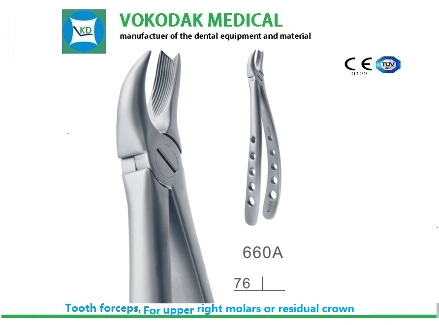 Dental Instrument Material Tooth Extracting Forceps Dental Forceps for Children